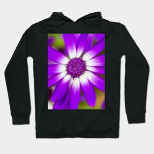 Macro Flora Hoodie